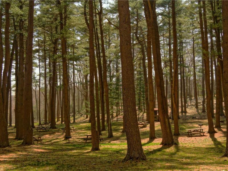 sudoku progression track